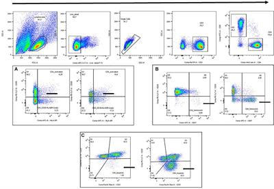 Impact of Age and HIV Status on Immune Activation, Senescence and Apoptosis